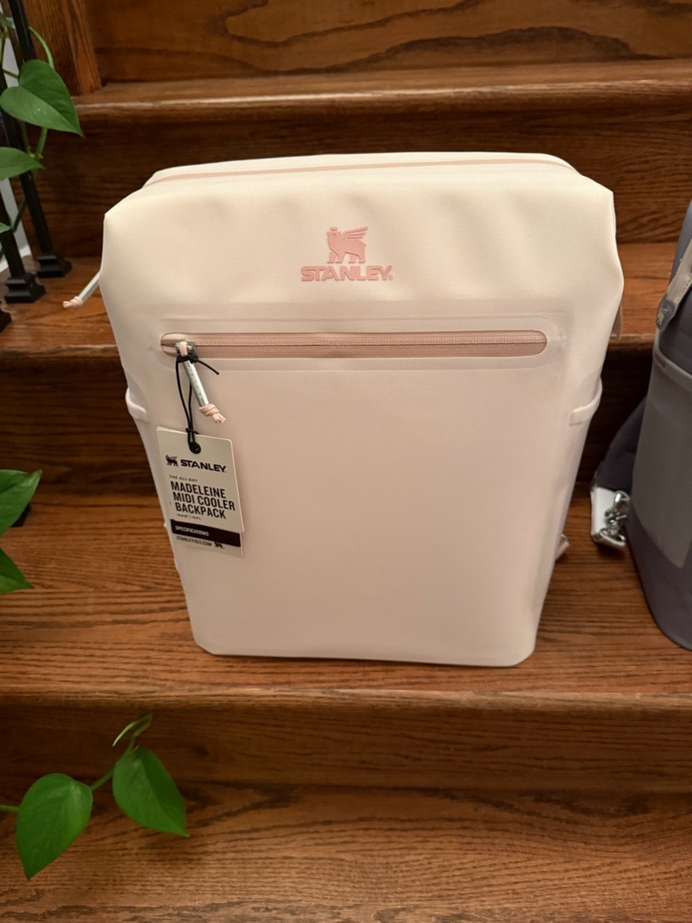 Stanley Madeleine Midi Cooler Backpack - Rose Quartz